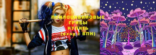 крисы Покров