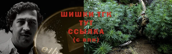 крисы Покров