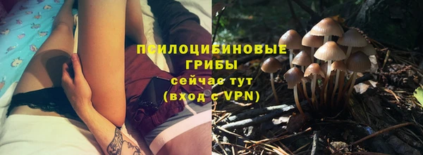герыч Нижний Тагил