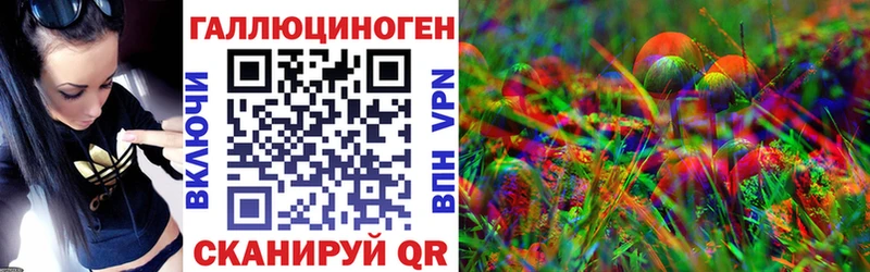 купить наркотики цена  Новосиль  Псилоцибиновые грибы Magic Shrooms 